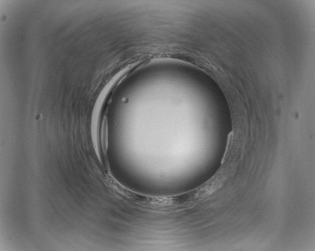 X0000067520720200604071321