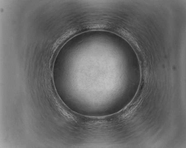 X0000067520721200604071320