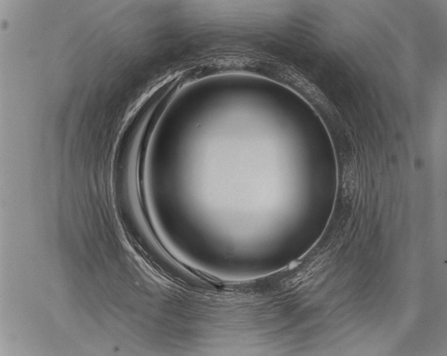 X0000067520722200604071320