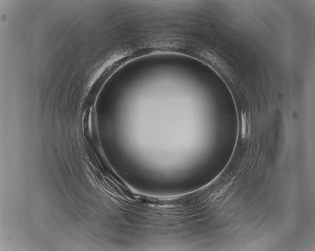 X0000067520723200604071320