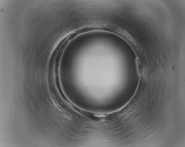 X0000067520724200604071320