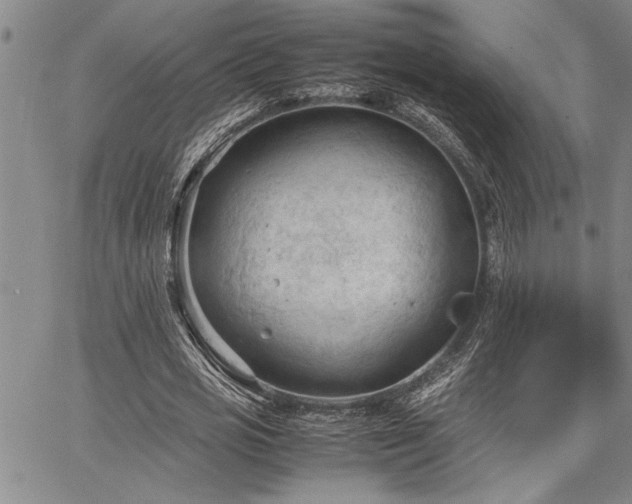 X0000067520725200604071320