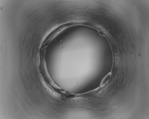 X0000067520726200604071320