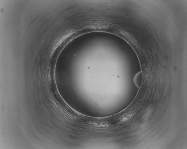 X0000067520727200604071320