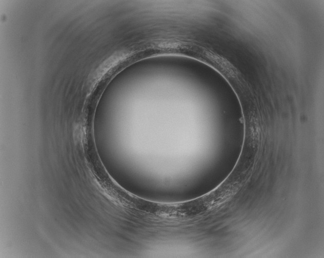 X0000067520728200604071320