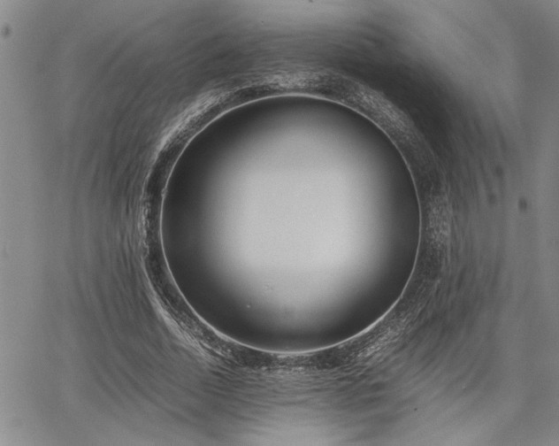 X0000067520730200604071320