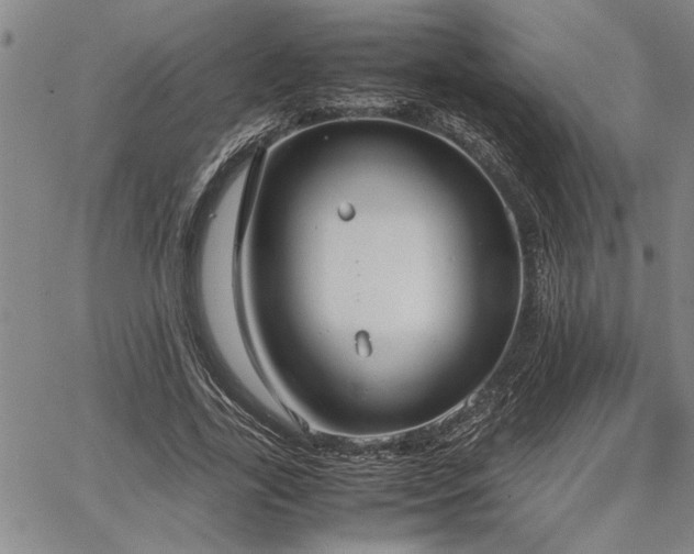 X0000067520731200604071320