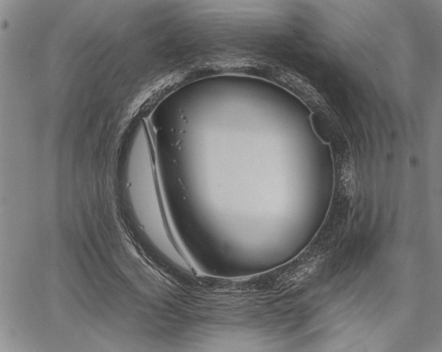 X0000067520732200604071320