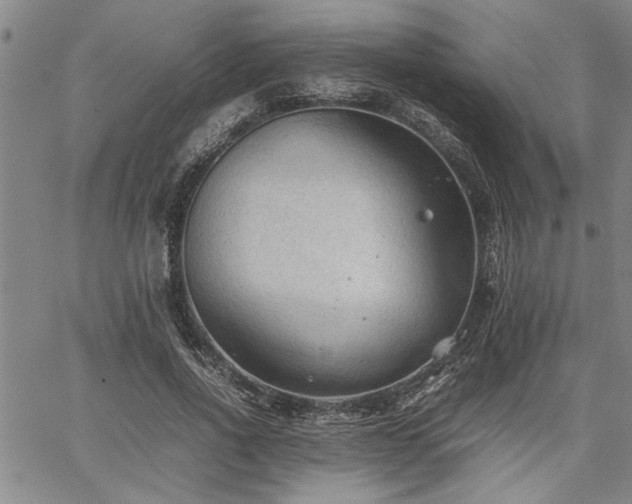 X0000067520734200604071321