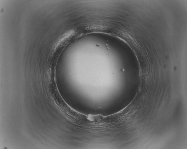 X0000067520735200604071321