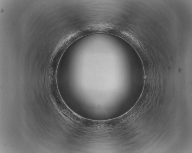 X0000067520736200604071321