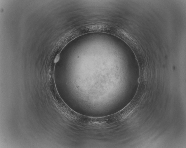 X0000067520737200604071321