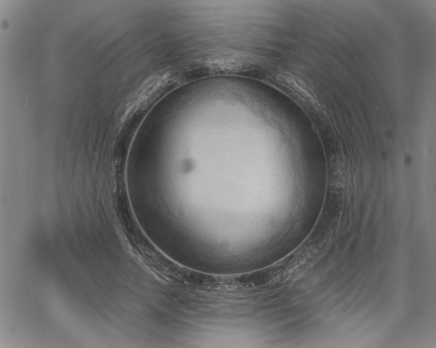 X0000067520738200604071321