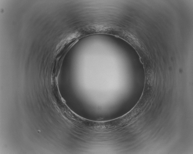 X0000067520740200604071321