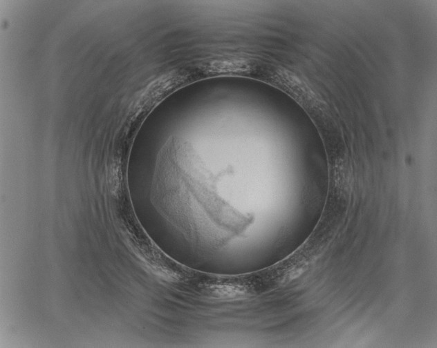 X0000067520741200604071321