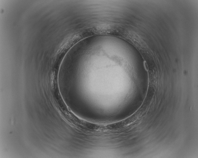 X0000067520742200604071321