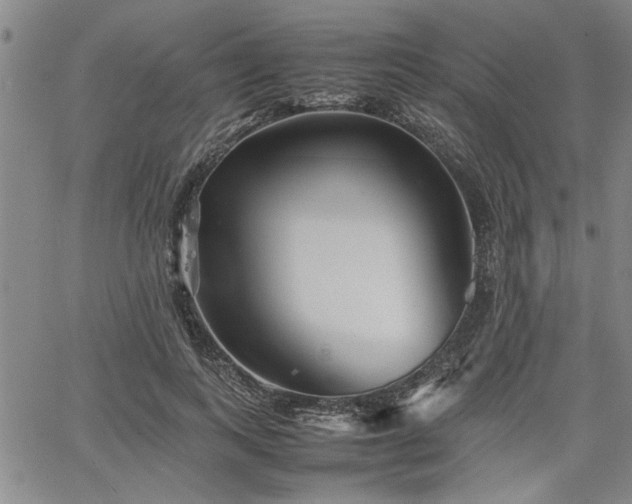 X0000067520743200604071321