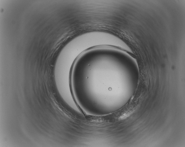 X0000067520744200604071321