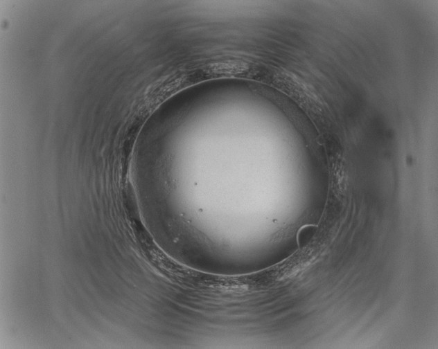 X0000067520745200604071321