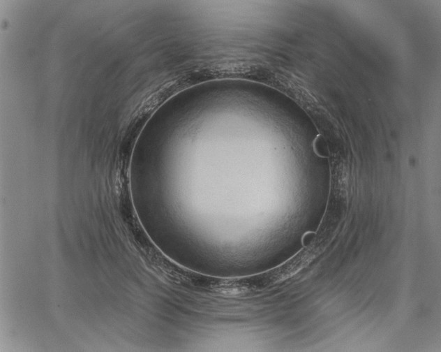 X0000067520746200604071321