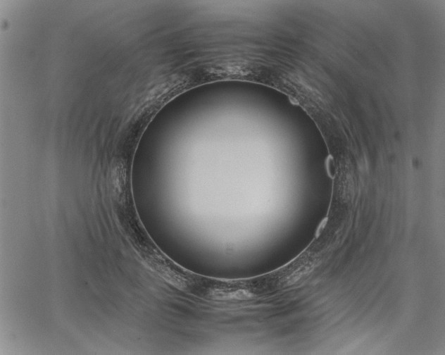 X0000067520747200604071321