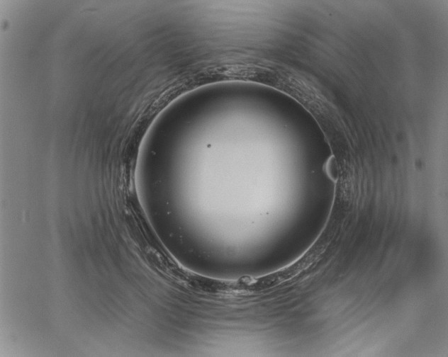 X0000067520748200604071321