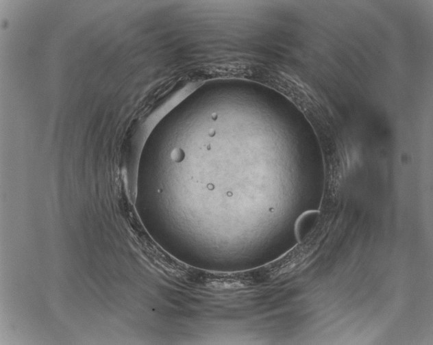 X0000067520749200604071321