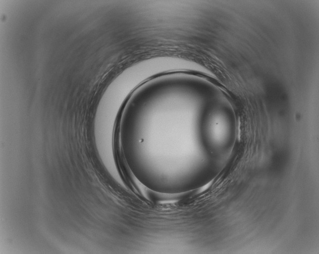 X0000067520750200604071321