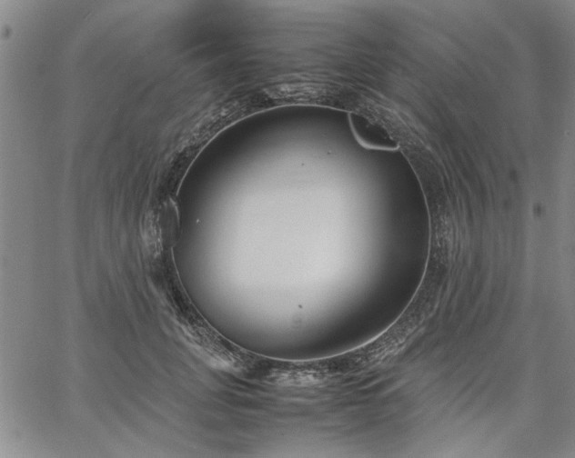 X0000067520751200604071321