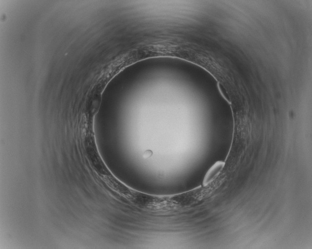 X0000067520752200604071321