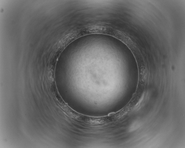 X0000067520753200604071321