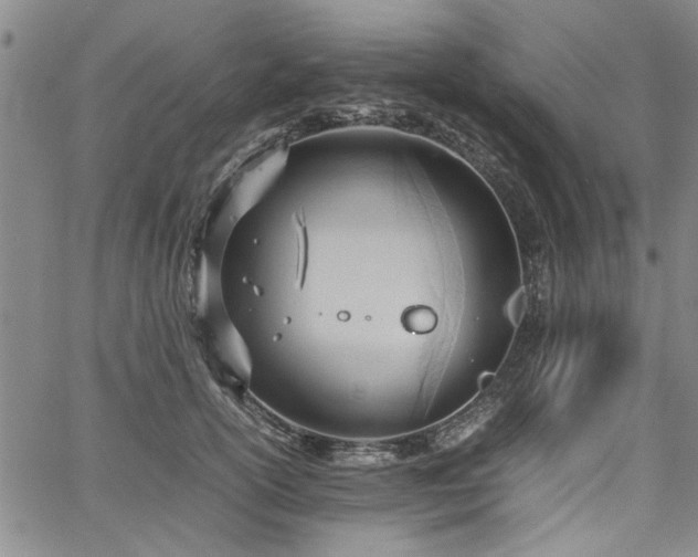 X0000067520754200604071321