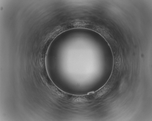 X0000067520755200604071321