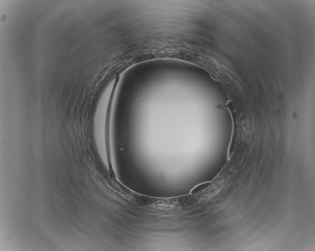 X0000067520756200604071321