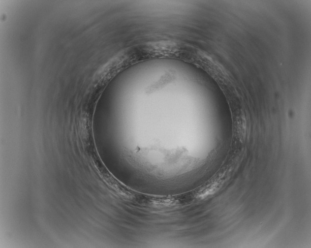 X0000067520757200604071321