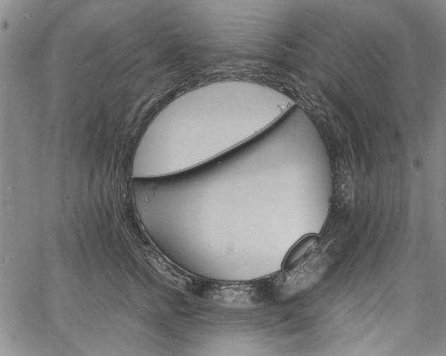 X0000067520758200604071321