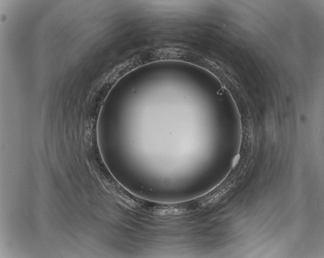 X0000067520759200604071321