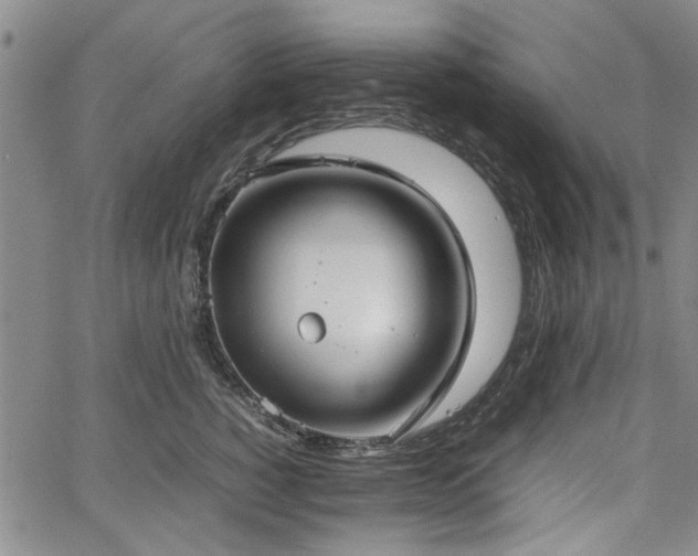 X0000067520760200604071321