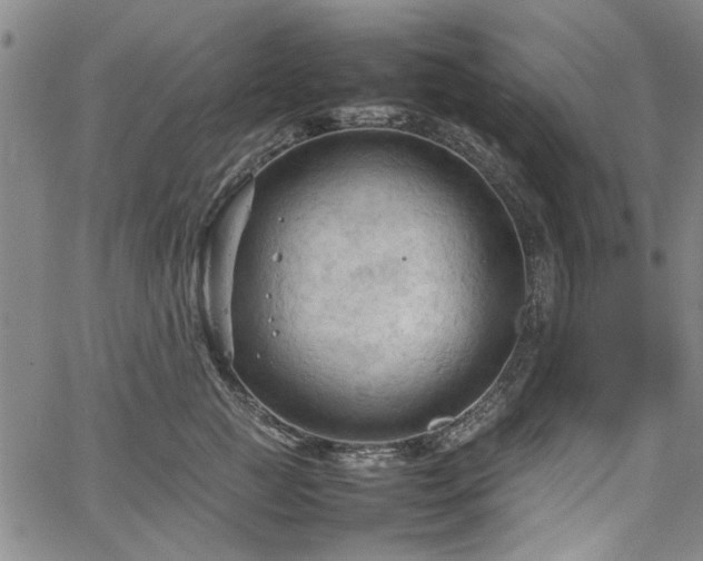 X0000067520761200604071321