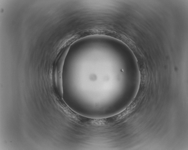 X0000067520762200604071321