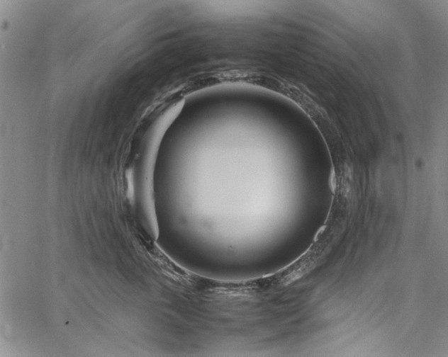 X0000067520763200604071321