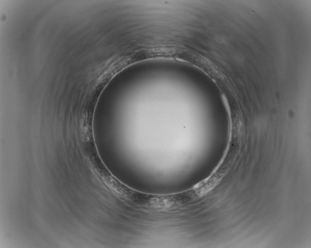 X0000067520764200604071321