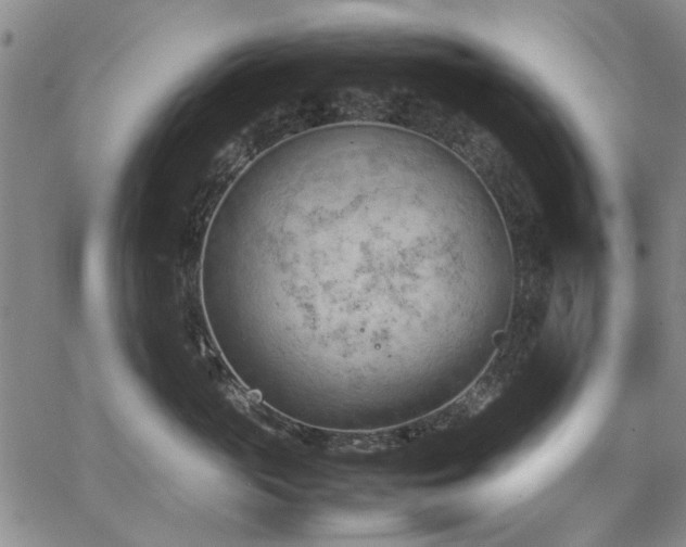 X0000067520765200604071321