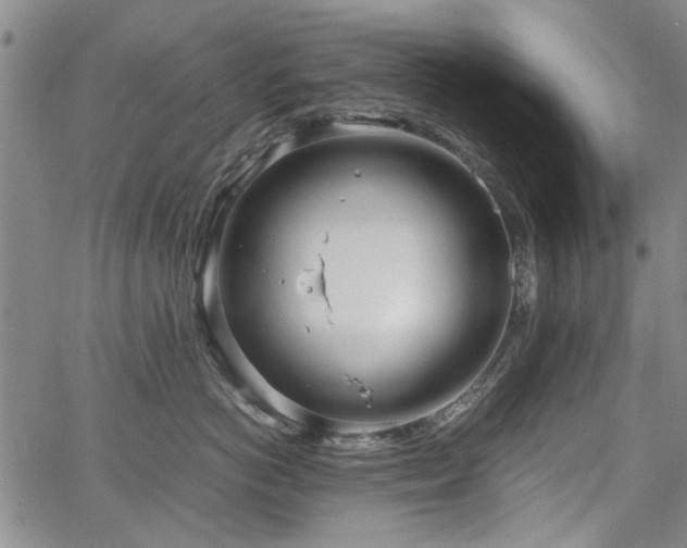 X0000067520766200604071321