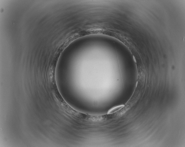 X0000067520767200604071321