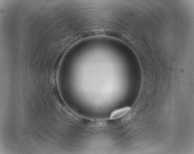 X0000067520768200604071321