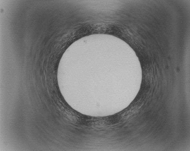 X0000067520769200604071320