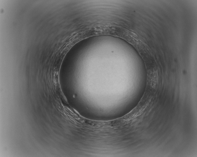 X0000067520770200604071320