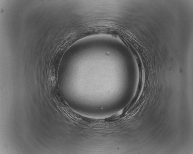 X0000067520771200604071320