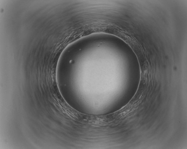 X0000067520772200604071320